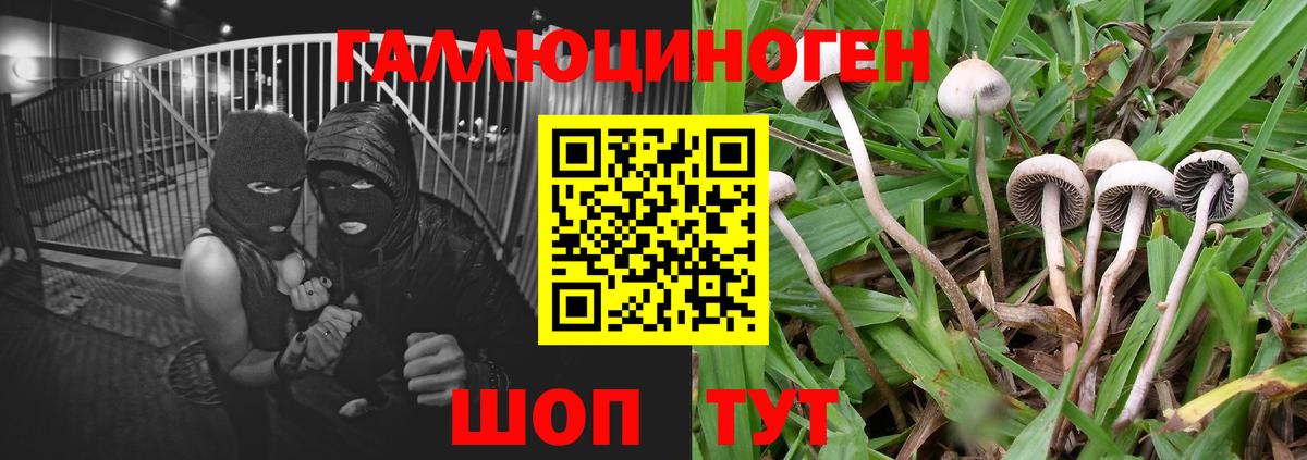 Саров  Галлюциногенные грибы Psilocybe  Псилоцибиновые грибы Magic Shrooms  Вход с VPN 