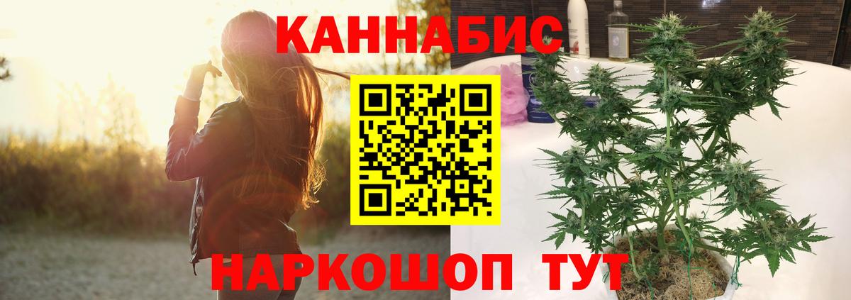 Конопля марихуана Саров